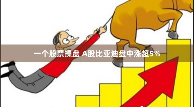 一个股票操盘 A股比亚迪盘中涨超5%