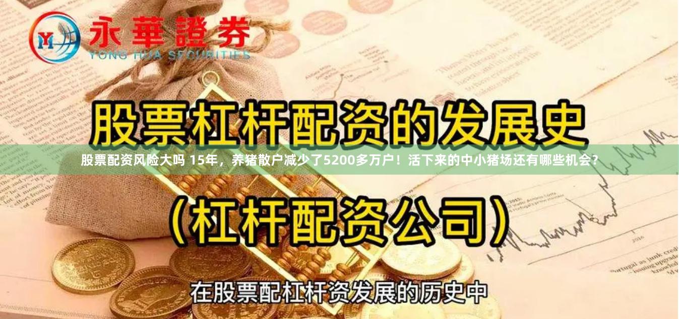 股票配资风险大吗 15年，养猪散户减少了5200多万户！活下来的中小猪场还有哪些机会？